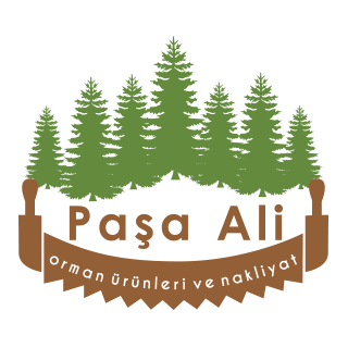 Paşa Ali